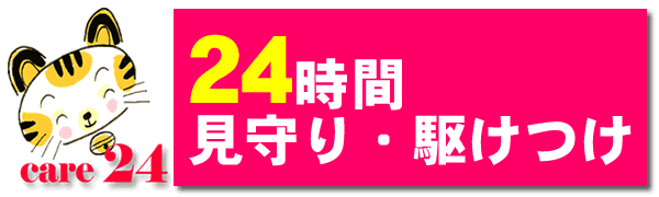 24Ԍ삯